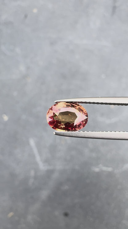 Saphir padparadscha • 1,73ct