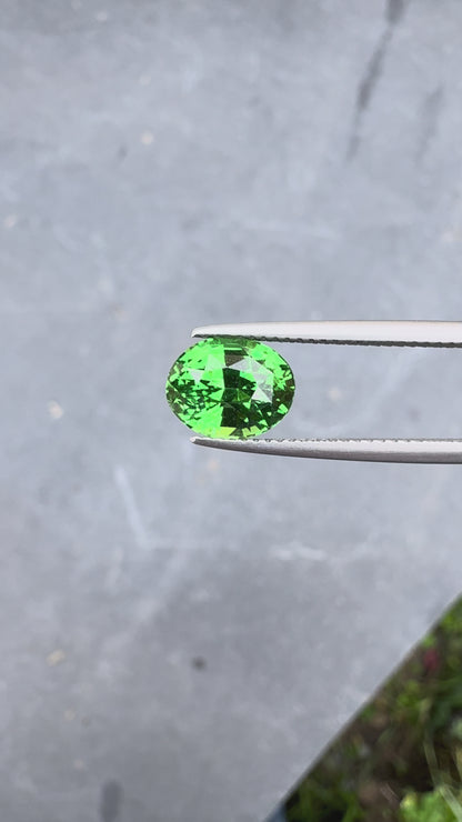 Grenat Tsavorite • 3,3ct