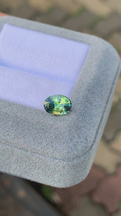 Saphir bi-color • 2ct