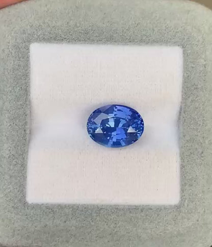 saphir-bleu-ovale-5-35ct-video-1
