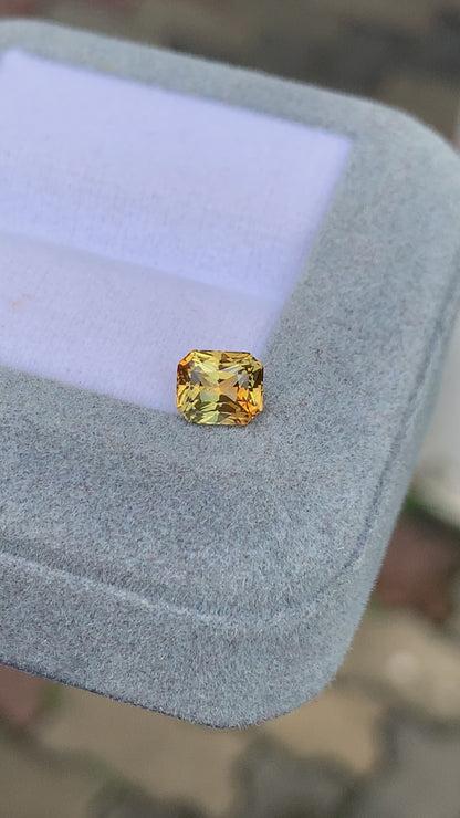 Saphir bicolore • 1,10ct