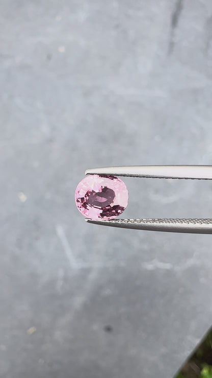 Saphir Padparadscha • 1,54ct