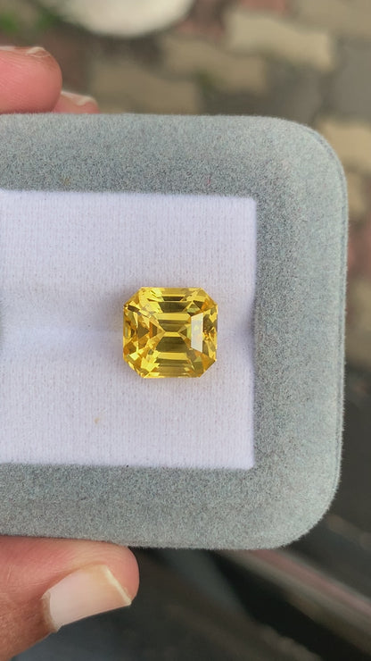 Saphir Jaune • 10,15ct