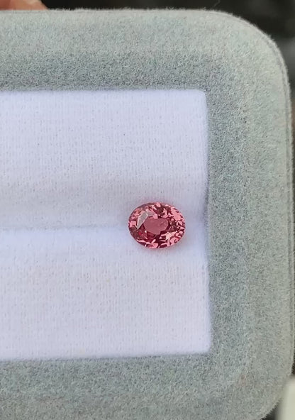 padparadscha-saphir-ovale-1-52ct-video-2