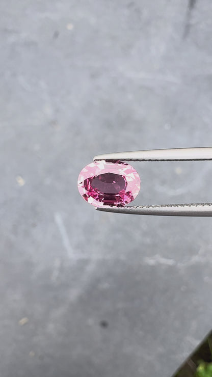 Saphir Padparadscha • 1,84ct