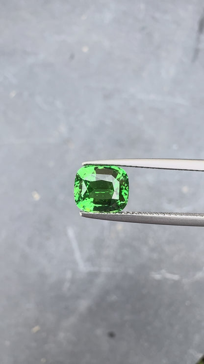 Grenat Tsavorite • 2,7ct