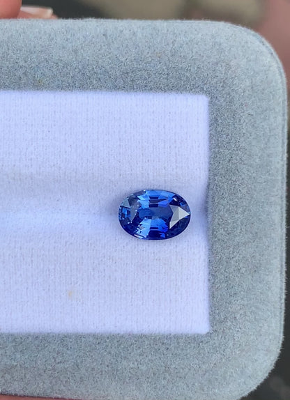 Saphir bleu • 2,51ct