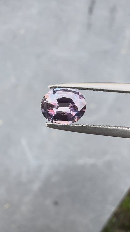 Saphir bicolore • 1,41ct