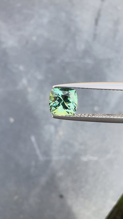 Live 002 - Tourmaline 1,19ct