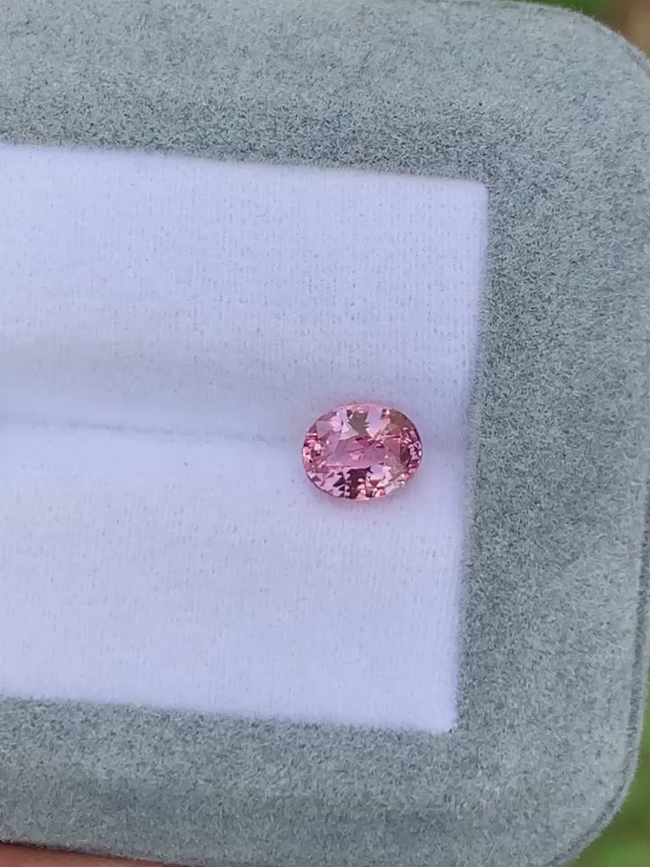 saphir-padparadscha-ovale-1-50ct video1