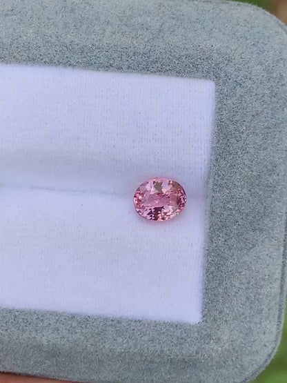 saphir-padparadscha-ovale-1-50ct video1