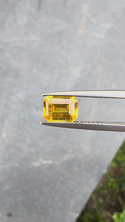 Saphir jaune • 1,58ct