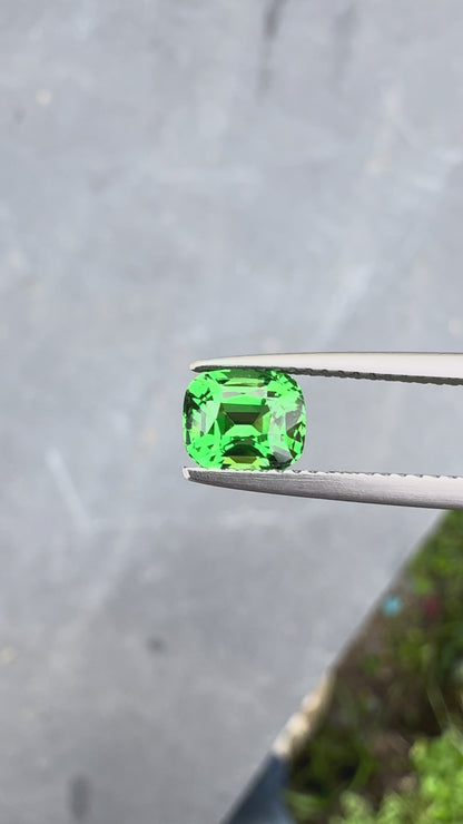 Grenat Tsavorite • 1,56ct