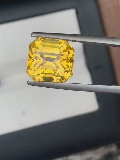 Saphir Jaune • 10,15ct