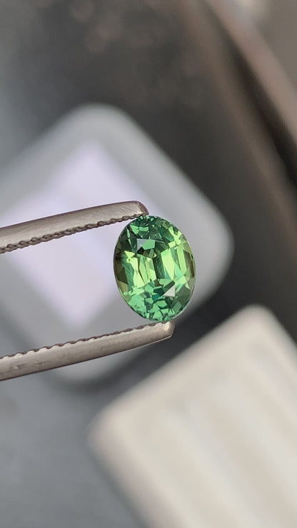 Saphir vert • 1,55ct