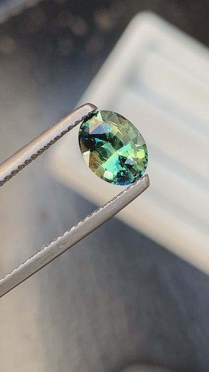 Saphir bi-color • 2ct