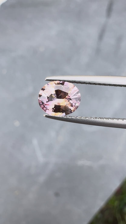 Saphir bicolore • 1,33ct