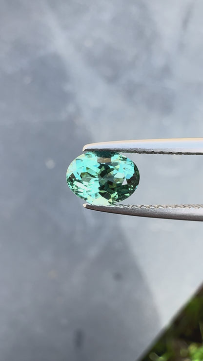 Live 005 - Tourmaline 1,17ct