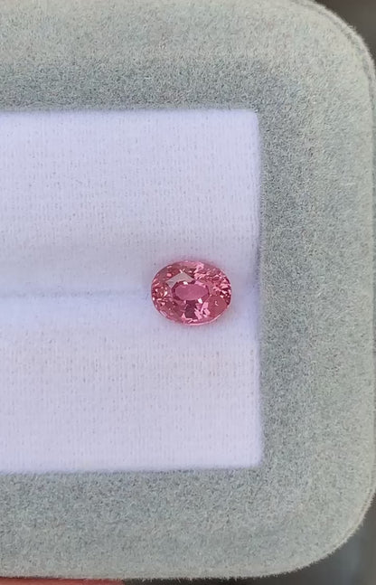saphir-padparadscha-ovale-1-56ct-video-2