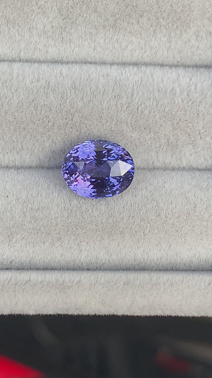 Saphir violet • 3,52ct