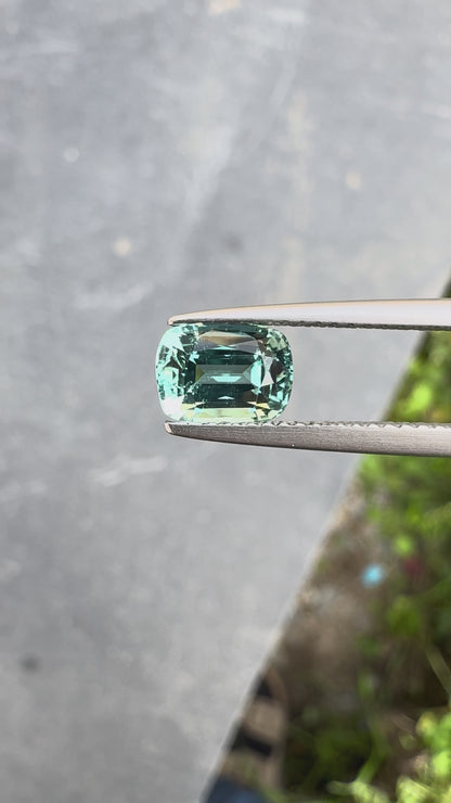 Tourmaline verte • 1,48ct