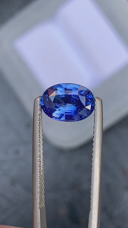 Saphir bleu • 2,51ct