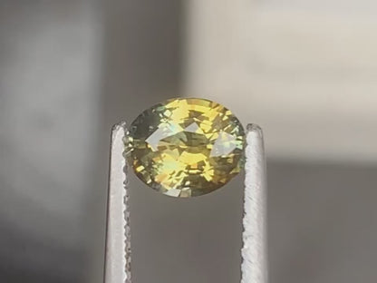 saphir-bicolore-ovale-1-05ct-video-1