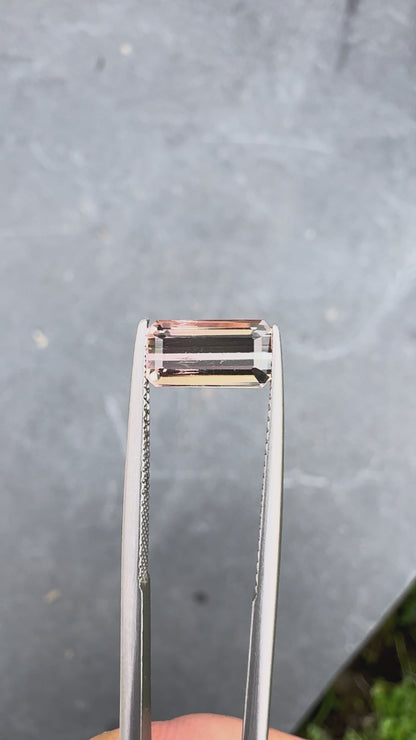 Tourmaline bicolore • 1,75ct