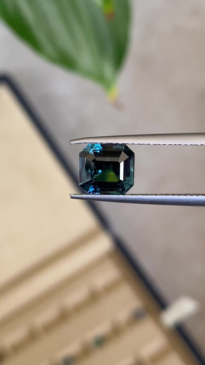 Saphir Teal • 3,03ct