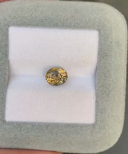 saphir-bicolore-de-ovale-2-15ct-video-2