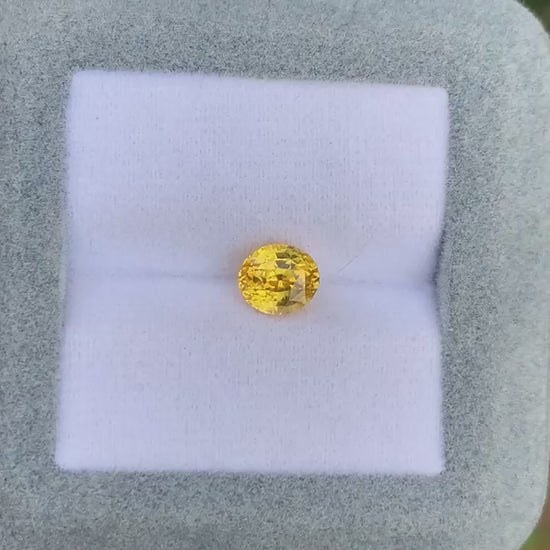 saphir-jaune-ovale-1-56ct video