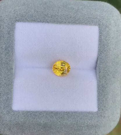 saphir-jaune-ovale-1-56ct video