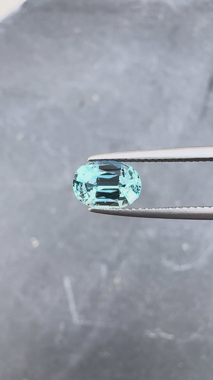 Aigue-Marine • 1,75ct