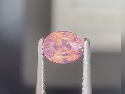 saphir-rose-ovale-1-10-ct-video-1