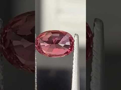 Saphir Padparadscha de Madagascar