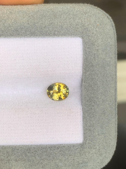 saphir-bicolore-ovale-1-05ct-photo-1
