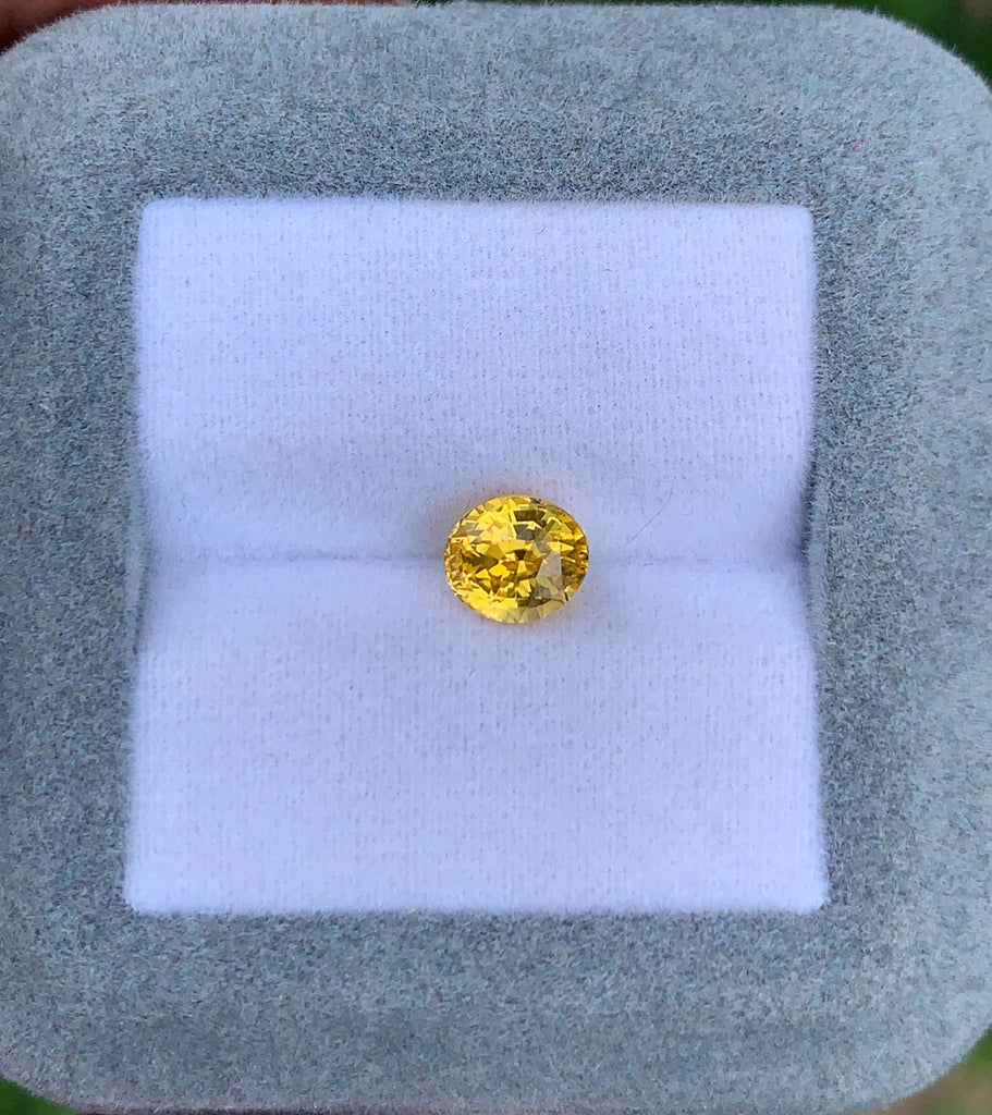 saphir-jaune-ovale-1-56ct photo1