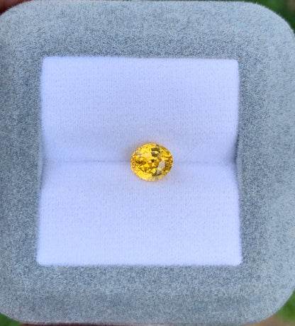 saphir-jaune-ovale-1-56ct photo2