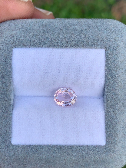 saphir-p-che-ovale-1-56ct photo2