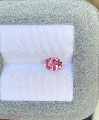 saphir-padparadscha-ovale-1-10-ct-photo-2