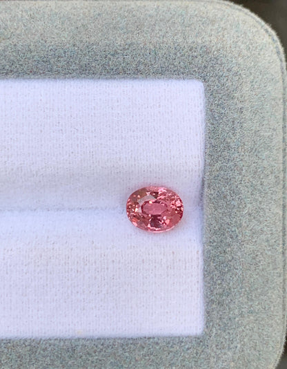 saphir-padparadscha-ovale-1-56ct-photo-1