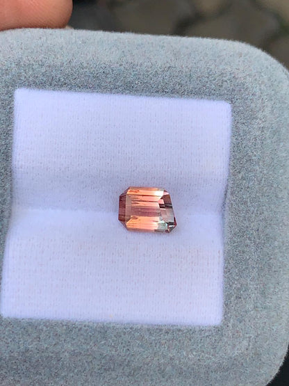 tourmaline-bicolore-1-90-ct-photo-2