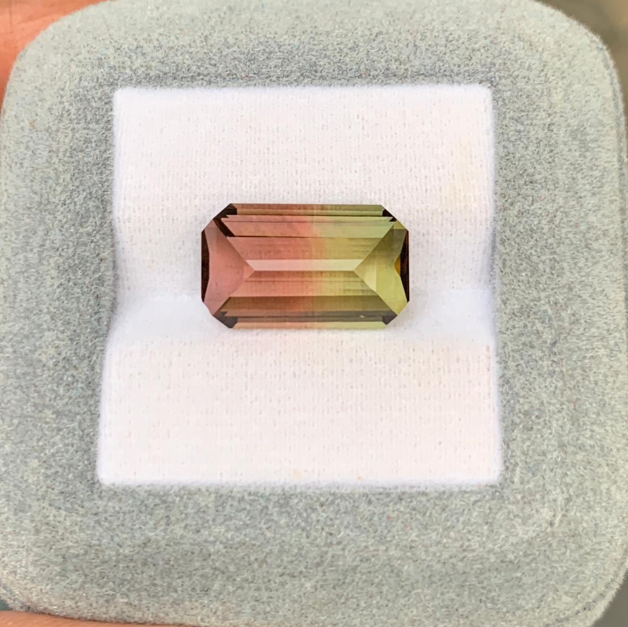 Tourmaline Bicolore • 8,55ct • Eye Clean certifiée • vue principale de face • pierre précieuse naturelle • non chauffée | Bonnot Paris