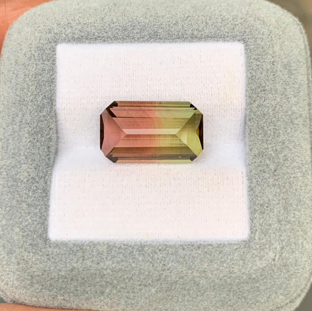 tourmaline-bicolore-octogonale-8-55ct-photo-1