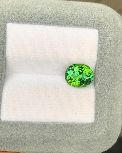 tourmaline-bicolore-ovale-3-10-ct-photo-1