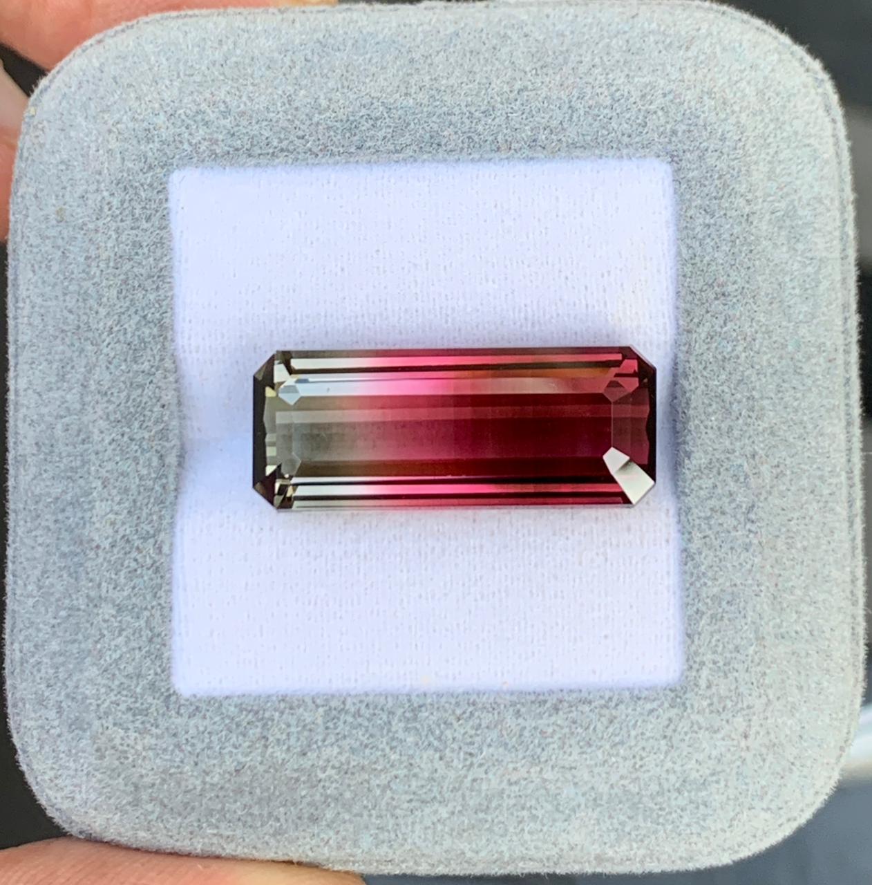 tourmaline • 18,98ct • originaire de Afrique • taille octogone • bijou porté • bijou de luxe | Bonnot Paris